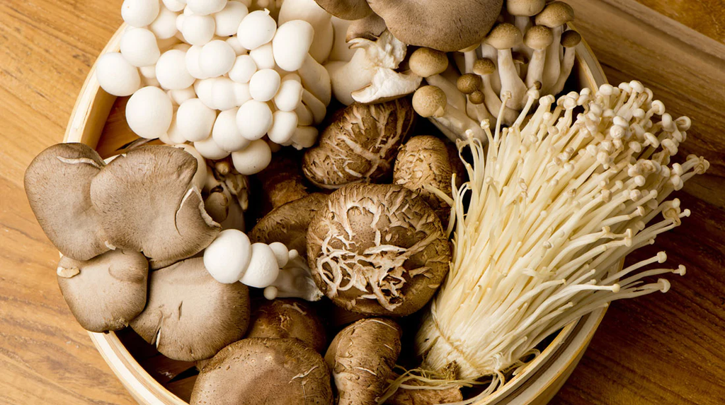 Mushrooms: natures most dynamic superfood