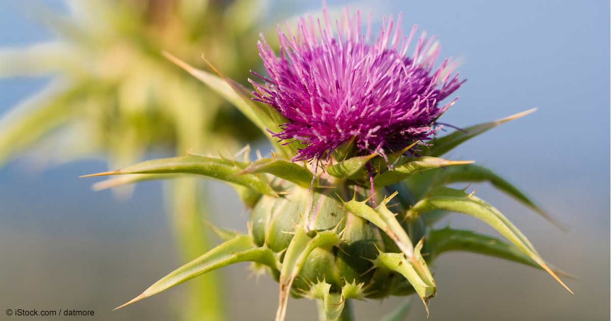 Is Your Liver Acting a Bit Sluggish?