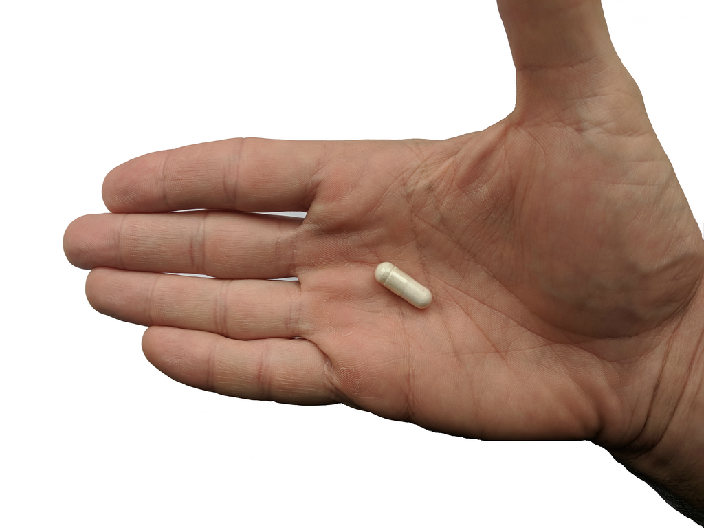 Probiotic Plus Prebiotic